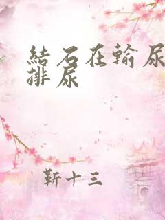 结石在输尿管不排尿