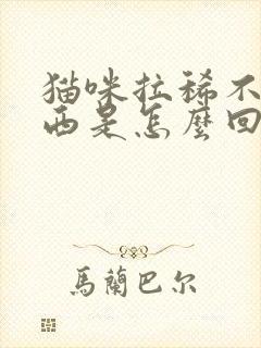 猫咪拉稀不吃东西是怎么回事