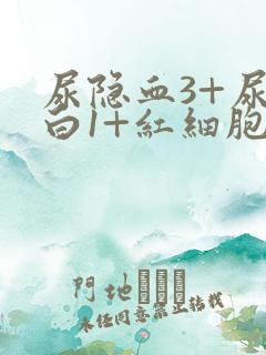 尿隐血3+尿蛋白1+红细胞高