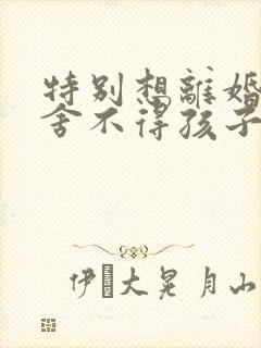 特别想离婚但是舍不得孩子怎么办