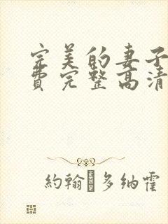 完美的妻子2免费完整高清韩剧在线观看