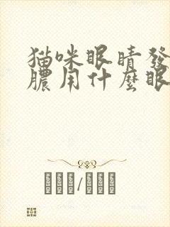 猫咪眼睛发炎流脓用什么眼药水消炎