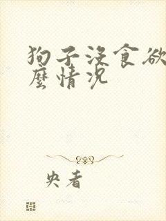 狗子没食欲是什么情况