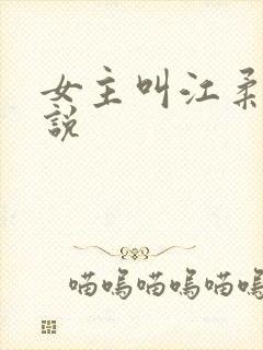 女主叫江柔的小说