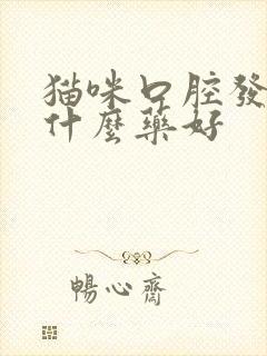 猫咪口腔发炎吃什么药好