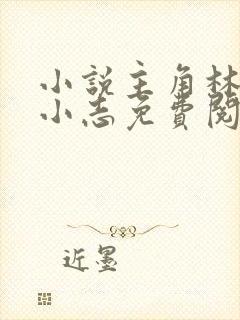 小说主角林姨,小志免费阅读