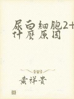 尿白细胞2+是什么原因