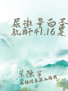 尿微量白蛋白/肌酐41.16是肾病吗