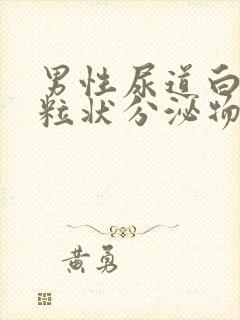 男性尿道白色颗粒状分泌物