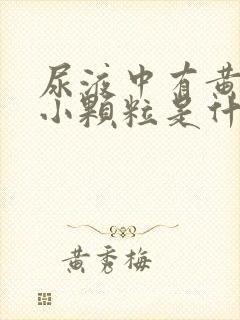 尿液中有黄色的小颗粒是什么原因