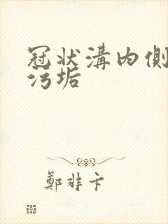 冠状沟内侧白色污垢