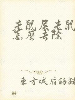 老鼠屎老鼠尿味怎么去除