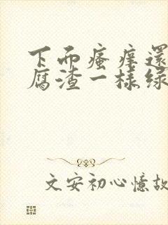 下面瘙痒还有豆腐渣一样绿色的分泌物