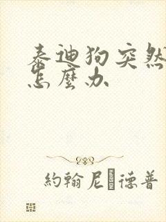 泰迪狗突然吐了怎么办