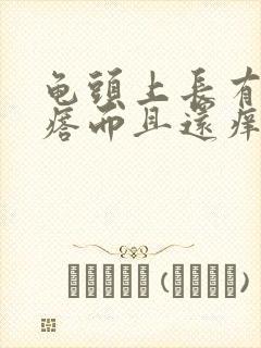 龟头上长有小疙瘩而且还痒是怎么回事