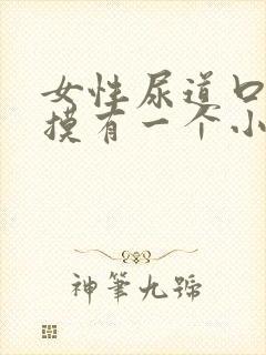 女性尿道口用手摸有一个小疙瘩