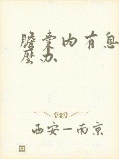 胆囊内有息肉怎么办