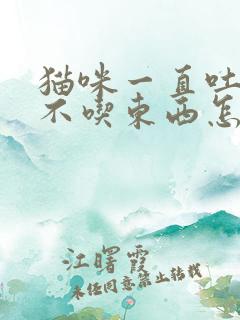 猫咪一直吐黄水不吃东西怎么办