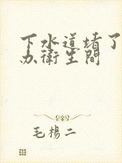 下水道堵了怎么办卫生间