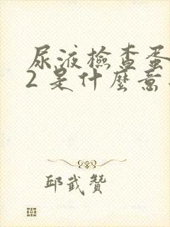 尿液检查蛋白质2 是什么意思