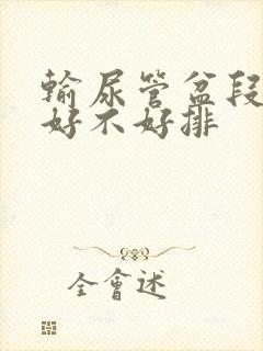 输尿管盆段结石好不好排