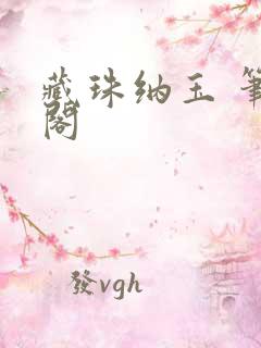 藏珠纳玉 笔趣阁