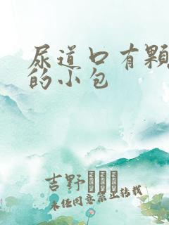 尿道口有颗粒状的小包