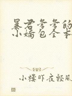 暴君爹爹的团宠小娇包全本阅读