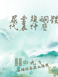 尿常规酮体1 代表什么