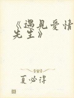 《遇见爱情的利先生》