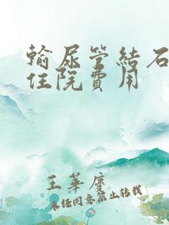 输尿管结石手术住院费用