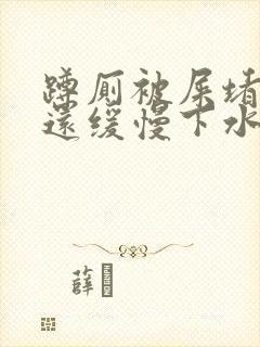 蹲厕被屎堵了但还缓慢下水