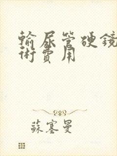 输尿管硬镜取石术费用