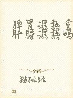 脾胃湿热会引起肝胆湿热吗