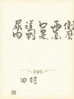 尿道口两侧起红肉刺是怎么回事