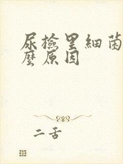 尿检里细菌高什么原因