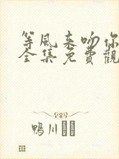 等风来吻你短剧全集免费观看