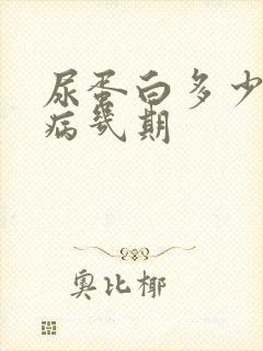 尿蛋白多少是肾病几期