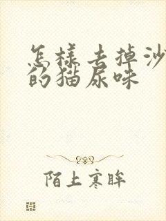 怎样去掉沙发上的猫尿味