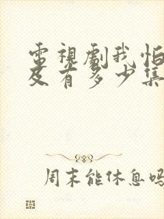 电视剧我怕来不及有多少集