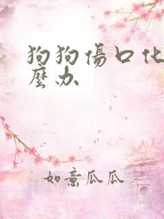 狗狗伤口化脓怎么办