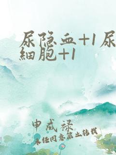 尿隐血+1尿白细胞+1