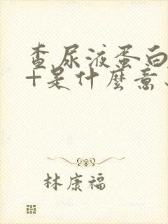 查尿液蛋白质2+是什么意思