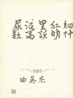 尿液里红细胞计数高说明什么