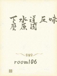 下水道反味是什么原因