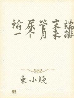 输尿管末端结石一个月未排出