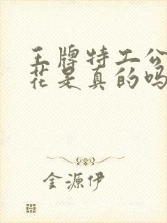 王牌特工公主菊花是真的吗