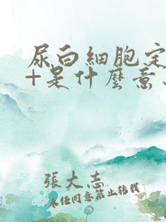 尿白细胞定性2+是什么意思