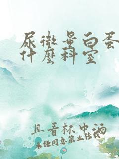 尿微量白蛋白挂什么科室