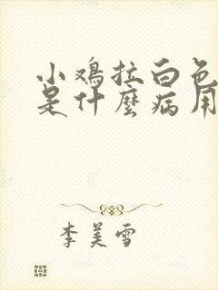 小鸡拉白色粪便是什么病用什么药